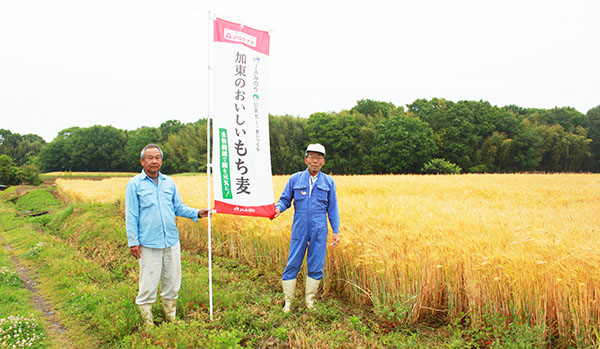 もち麦生産者