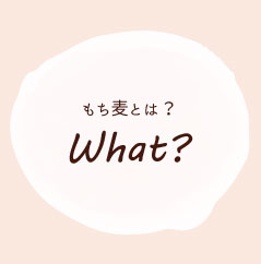 もち麦って何？