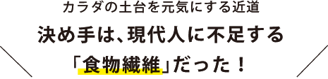 腸内環境を整えることが、健康への近道。決め手は、現代人に不足する「食物繊維」だった！